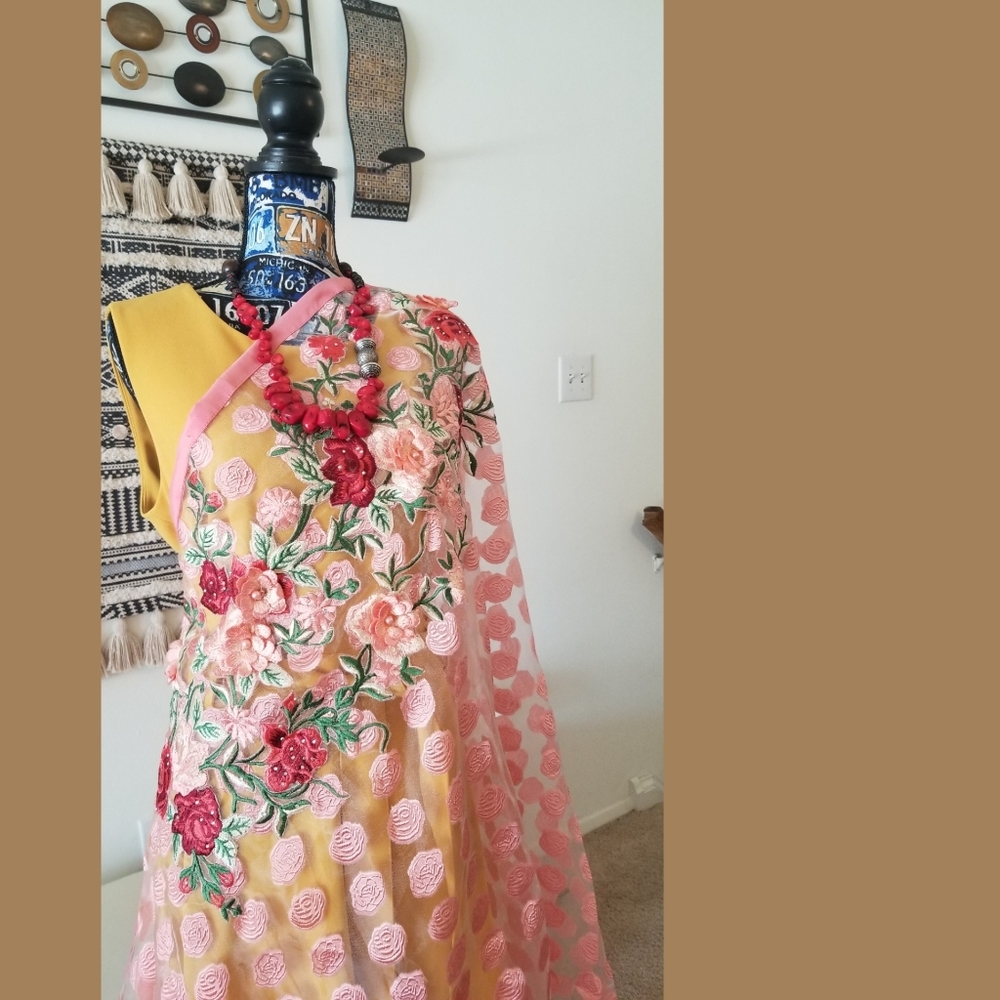 Saree, net, fancy, pink,  unique, sheer with polka dots embroidered all over. - Picture 2 of 8